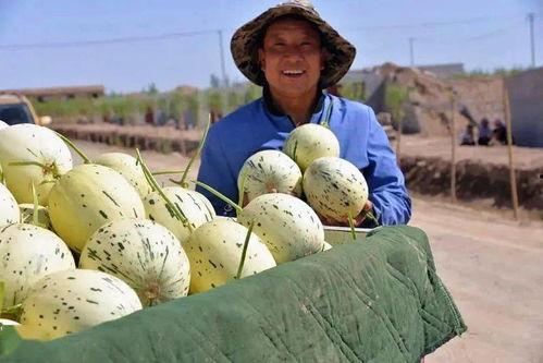 群众第一次吃瓜视频,首次尝鲜！群众热传吃瓜视频引热议