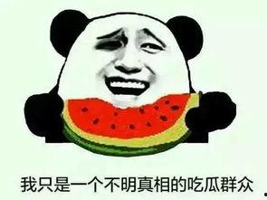 吃瓜群众早已上线了吗,全民娱乐时代的全民参与