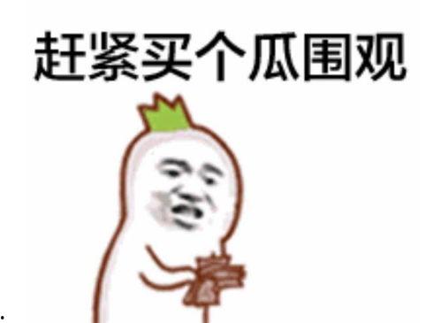 吃瓜群众斜眼视频播放,揭秘吃瓜群众视频播放背后的秘密