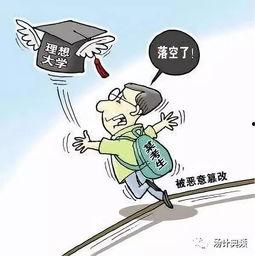 吃瓜群众没话说怎么办,揭秘事件背后的真相与反思