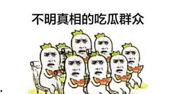 吃瓜群众吐瓜子,吃瓜群众吐瓜子背后的故事