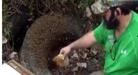 吃瓜群众看了头皮发麻,吃瓜群众目睹头皮发麻事件