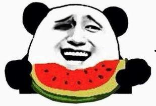 吃瓜群众吃瓜日常视频,日常视频中的欢乐时光