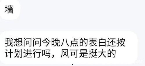 表白的吃瓜群众怎么说,吃瓜群众视角下的浪漫表白瞬间