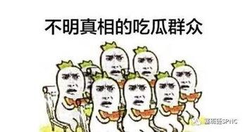 吃瓜群众不懂的自媒体