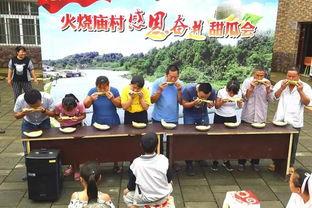 陶庙吃瓜群众,揭秘民间热点的幕后故事