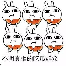 吃瓜群众例子,网络时代的围观力量