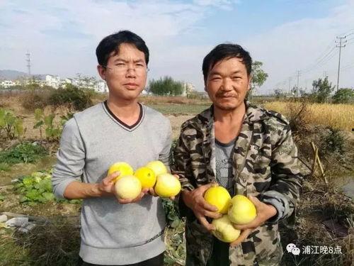 姐妹们行动吃瓜群众,揭秘幕后真相