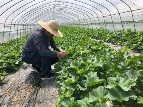 吃瓜群众老余,揭秘娱乐圈幕后故事