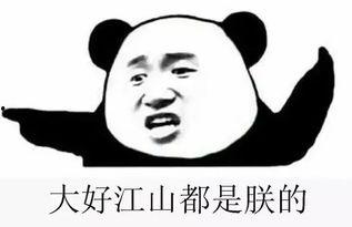 我就是一个吃瓜群众视频,一场网络视频的狂欢盛宴