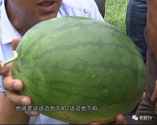 吃瓜群众的西瓜怎么做,吃瓜群众西瓜制作攻略