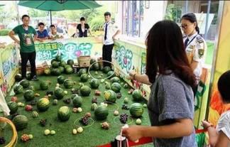 五楼吃瓜群众,揭秘日常生活中的趣味瞬间