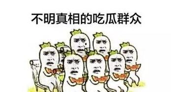 做吃瓜群众朋友圈怎么说,如何优雅地成为围观群众