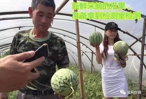 商丘吃瓜群众直播,吃瓜群众带你领略直播带货新风尚