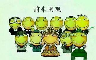 吃瓜群众后一句怎么说,揭秘吃瓜群众背后的热议焦点