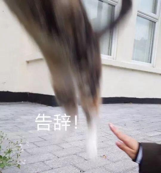 吃瓜群众图片高清女,女生视角下的趣味瞬间