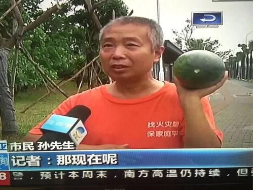 鄱阳吃瓜群众事件