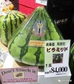 我是吃瓜群众标语,揭秘娱乐圈幕后真相