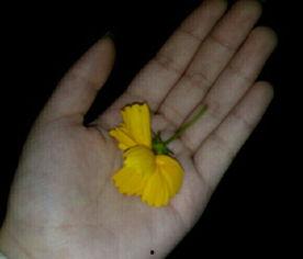 吃瓜群众搞怪视频素材大全,笑料横生！吃瓜群众搞怪视频素材大盘点