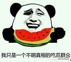 吃瓜群众种瓜子,揭秘瓜子的种植与收获之旅