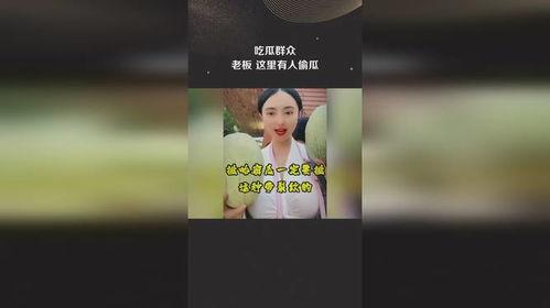 吃瓜群众总裁小说,瓜田里的逆袭传奇