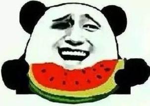 吃瓜群众鼓掌的梗,揭秘网络热梗背后的文化现象