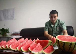 浪漫的人吃瓜群众