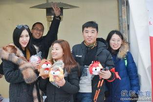 吃瓜群众游戏互动