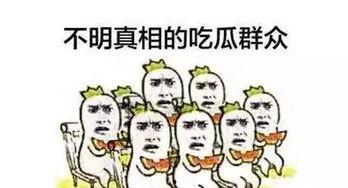 抖音 吃瓜群众,吃瓜群众揭秘网络热点背后的真相