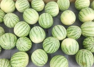 只想当吃瓜群众的说说,旁观者的轻松解读