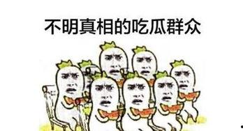 吃瓜群众怎么收款