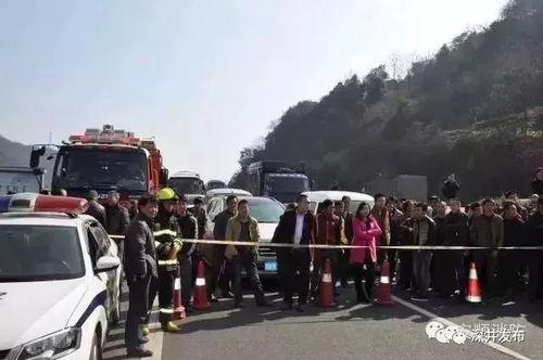 吃瓜群众岱岱观察者网,揭秘吃瓜群众视角下的观察者网