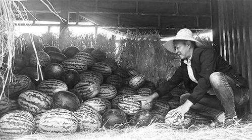 吃瓜群众岱岱工业,吃瓜群众眼中的工业奇迹