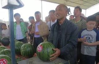 澄湖事件吃瓜群众,吃瓜群众视角下的真相揭秘