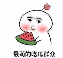 论吃瓜群众的修养,理性围观，文明互动