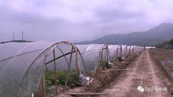 吃瓜群众上线寿光,揭秘寿光美食之旅