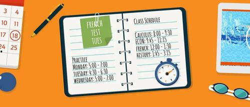 吃瓜群众的时间管理,如何高效管理碎片化时间