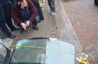 吃瓜群众被抓怎么处理的,法律视角下的处理与反思