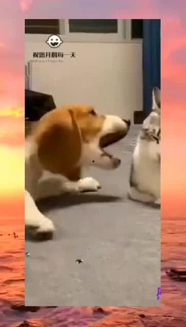 周围吃瓜群众是什么行为,揭秘“吃瓜群众”背后的社会心理