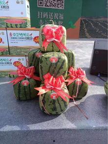 吃瓜群众小玩具,网络热词背后的趣味与思考