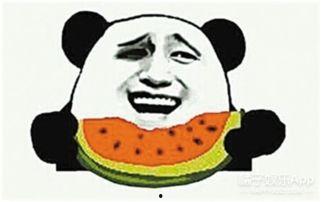 粉丝成了吃瓜群众了吗