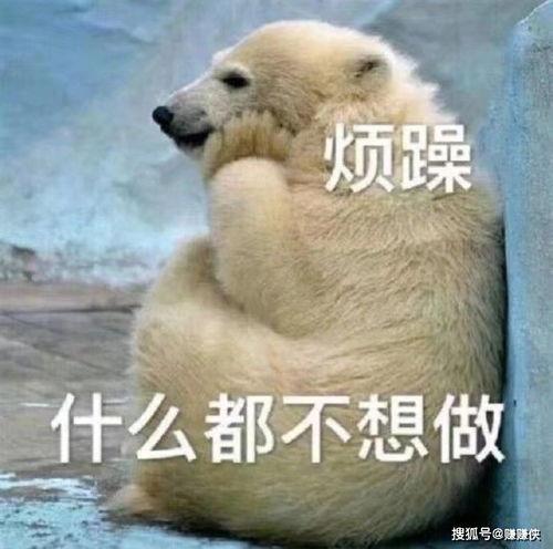 吃瓜群众爆笑图片